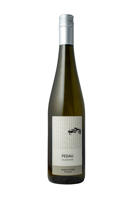 Muskat Ottonel 2023 Falkenstein Pesau