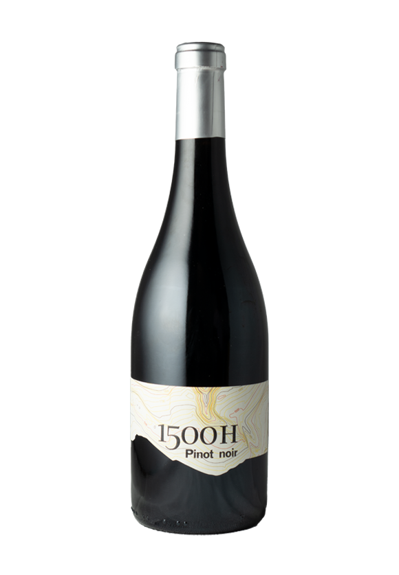1500 H  Pinot noir 2017 D.O. Mencia