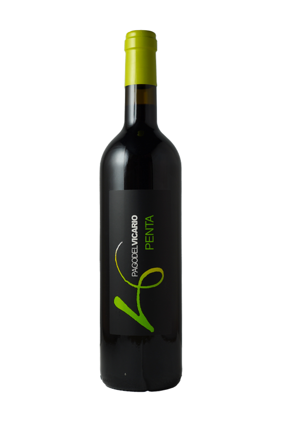 Penta 2021 Pago del Vicario