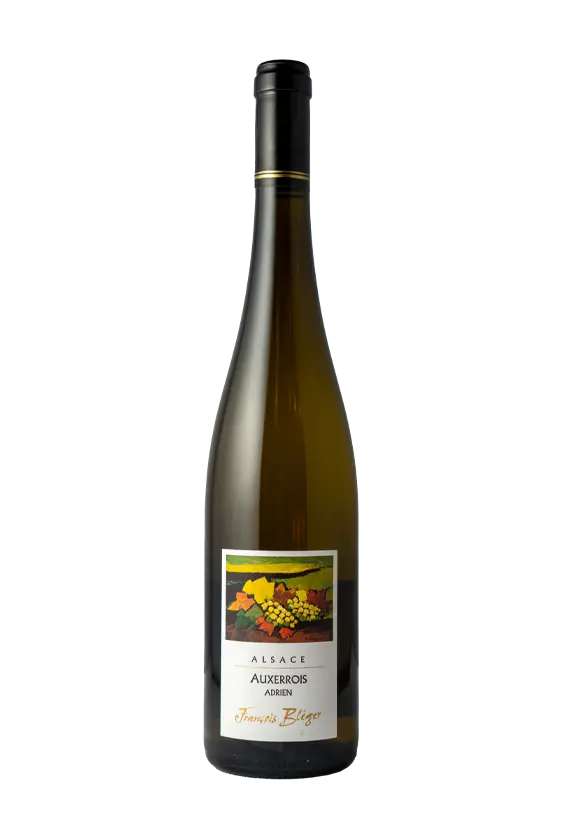 Auxerrois 2023 sec Francois Bleger 