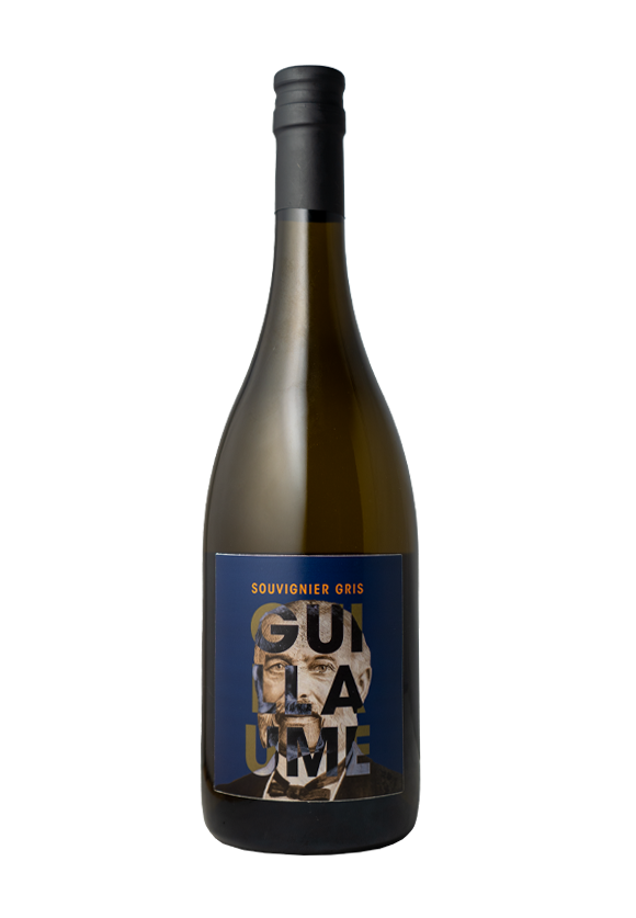 Guillaume Souvignier gris 2023 Holset Limburg